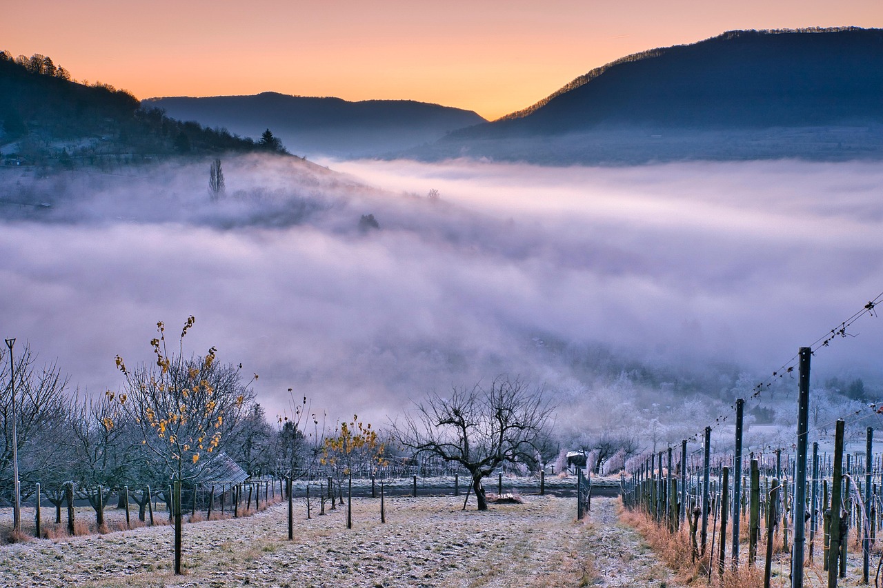 A Weekend in the Douro: Port, Quiet, and the River